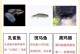 以鱼会喝水吗？探究鱼类的饮水和排尿机制（揭秘鱼类的饮水与排尿过程，了解鱼类生理特点与环境适应能力）