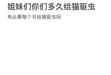 猫咪驱虫的重要性与最佳时间（了解猫咪驱虫的关键信息及时保护它们健康）