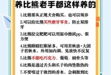 DIY比熊犬造型指南（在家打造各种可爱的比熊犬造型，轻松变身造型师！）