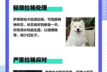 揭秘以萨摩耶生3只的神奇之谜（探索萨摩耶独特的繁殖方式，了解生3只的关键）
