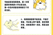 小狗回家多久打针？知晓时间和必要性！（了解小狗打针的时间和重要性，让你的宠物健康无忧。）