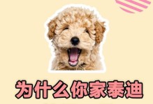 泰迪小狗的月份饮食指南（了解泰迪小狗的每月饮食需求，让它健康成长）