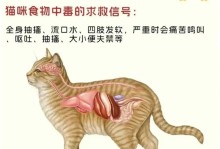 猫能吃的人的食物（探索猫咪可以安全享用的人类食物，保障其健康与幸福生活）