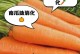 刚出生的小猫该吃什么？（营养需求和饲养指南）