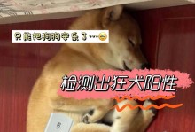 猫患上狂犬病后能存活多久？（揭秘猫患狂犬病的存活期限）