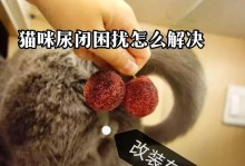 治疗猫尿结石的有效药物及方法（了解尿结石的症状与治疗药物，保护宠物健康）