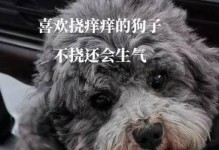 揭秘狗狗老抓痒肯脚的原因（探究狗狗瘙痒行为及其解决方法）