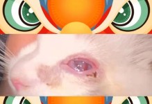 猫眼睛表面的白色物质到底是什么？（探究猫眼睛表面的神秘白色物质及其作用）