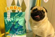 狗的美毛之旅（揭秘狗狗何时开始吃美毛食品）