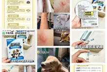 揭秘狗患寄生虫的症状及防治方法（了解狗患寄生虫的常见症状和预防措施，守护宠物健康）