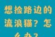 捡回来的猫需要注意什么？（关爱被拾的流浪猫，为它们创造幸福的新家）