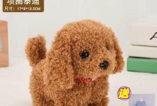 选择不掉毛的宠物犬，让家庭更清洁（解析适合室内饲养的不掉毛宠物犬品种）