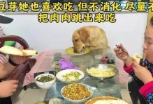 如何选择适合狗狗的食物？（给狗狗买什么吃的东西怎么办？）