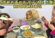如何选择适合狗狗的食物？（给狗狗买什么吃的东西怎么办？）