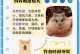 养仓鼠的技巧（简单易懂的仓鼠养护指南，帮助新手轻松开始）