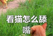 猫咪每天舔毛的时间到底有多长？（揭秘猫咪为何如此爱舔毛的原因及影响因素）