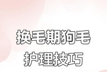 幼犬的毛发变化及换毛时间（了解幼犬换毛的关键时期，让它健康成长）