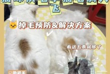 宠物换毛期是多久？（了解宠物换毛期的时间和注意事项）