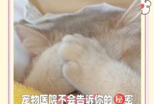 幼猫感冒（揭秘幼猫感冒的治愈时程及关键因素）