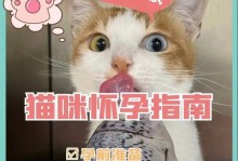 猫咪怀孕多久能摸到？（探究猫咪怀孕期间的触摸时机与方法）